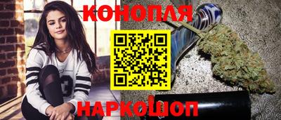 гидра Новодвинск