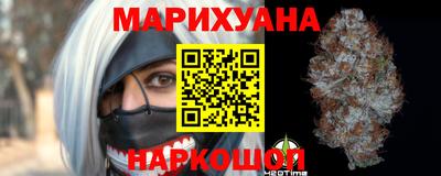 гидра Новодвинск