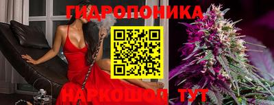 гидра Новодвинск