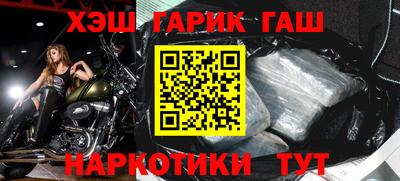 гидра Новодвинск